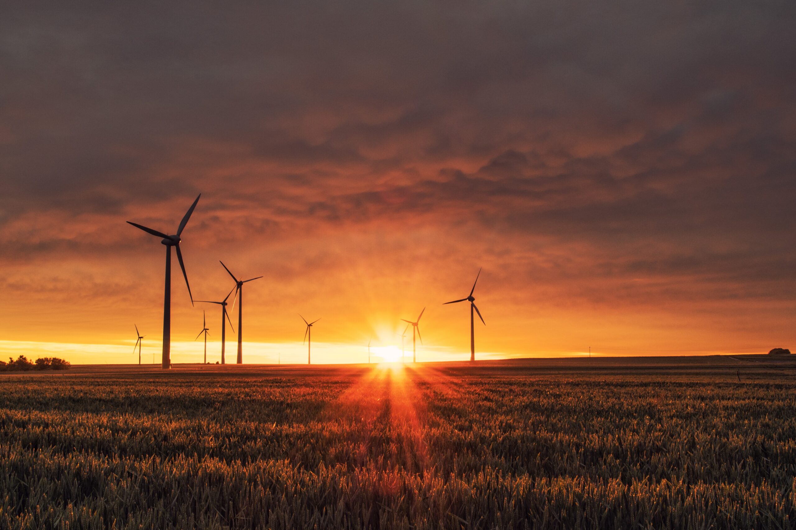 Climate tech investment will be key to achieving net-zero ambitions 